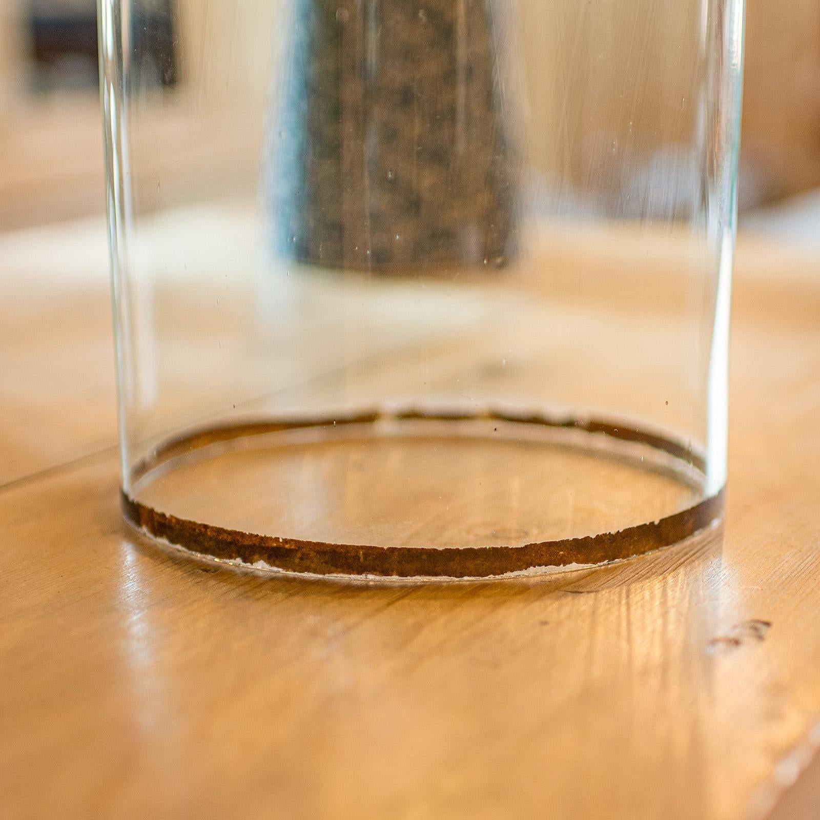 Tall Antique Taxidermy Dome, English, Glass, Pine, Display Case, Victorian, 1880 For Sale 2