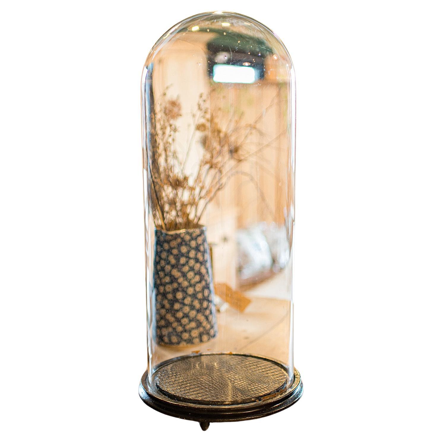 Vitrina Taxidermia Antigua Alta, Inglesa, Cúpula Expositora, Vitrina para Especímenes, Victoriana