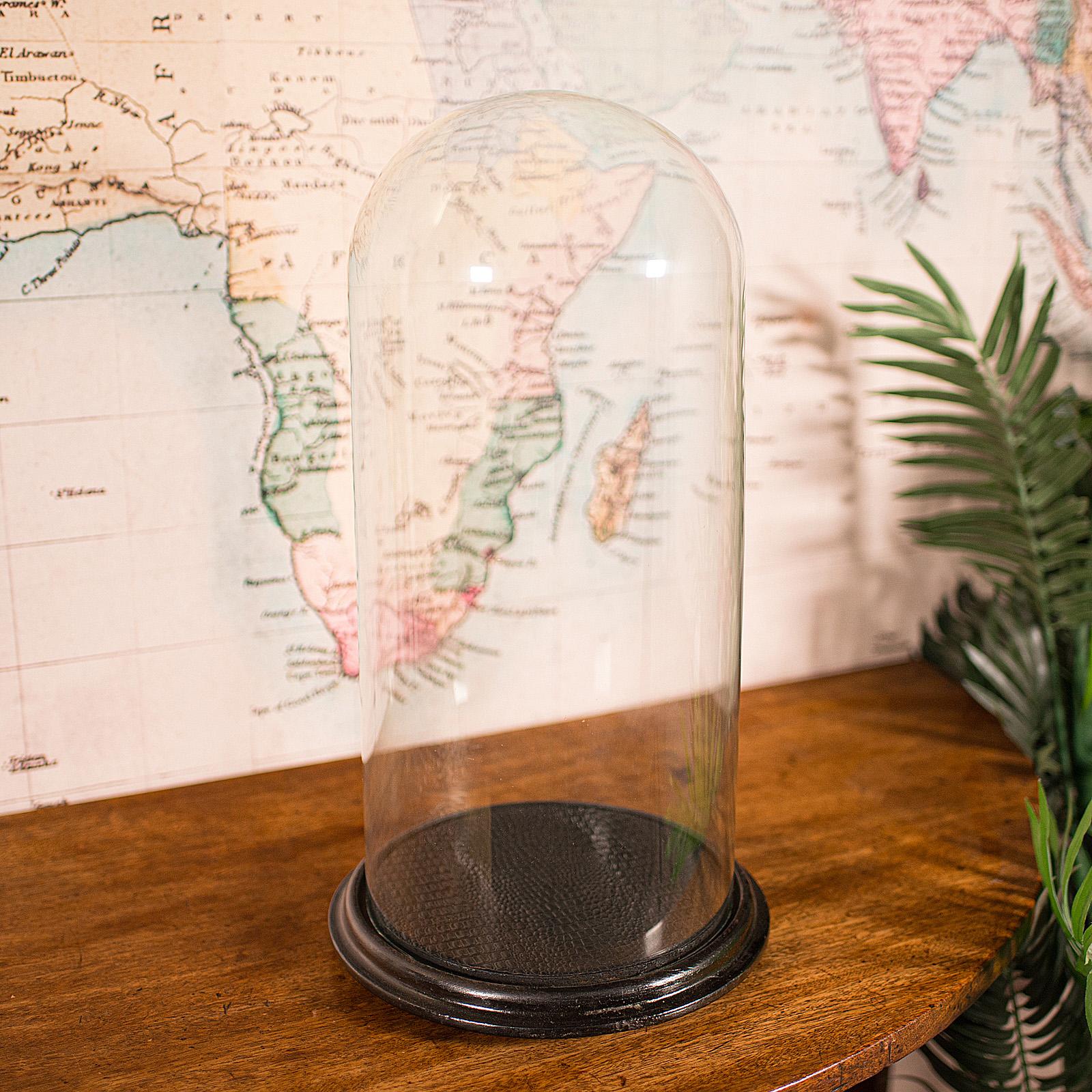 Late Victorian Tall Antique Taxidermy Specimen Dome, English, Glass Display Showcase, Victorian For Sale