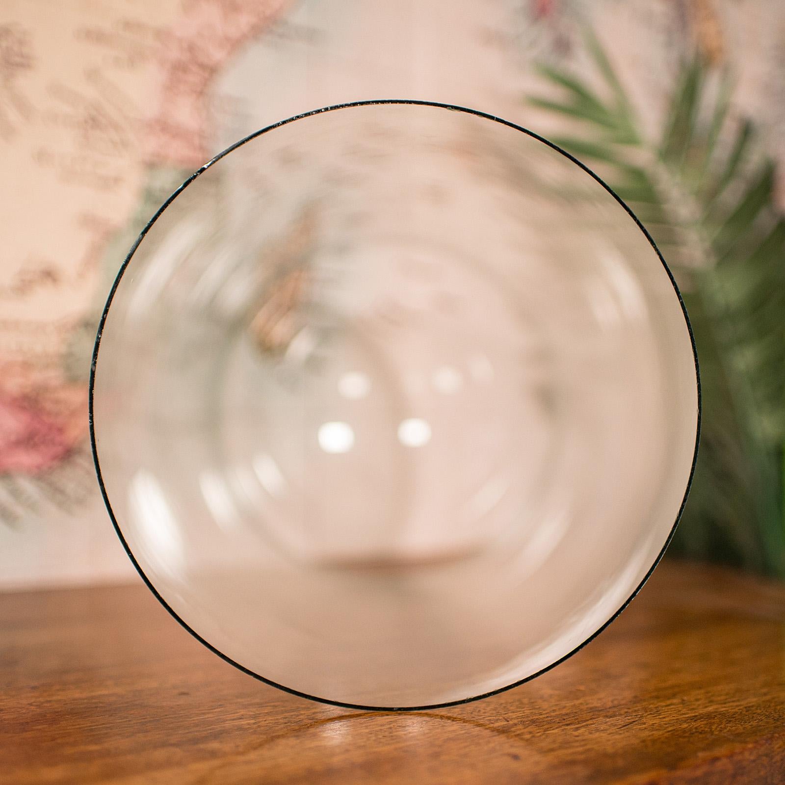 Tall Antique Taxidermy Specimen Dome, English, Glass Display Showcase, Victorian For Sale 2