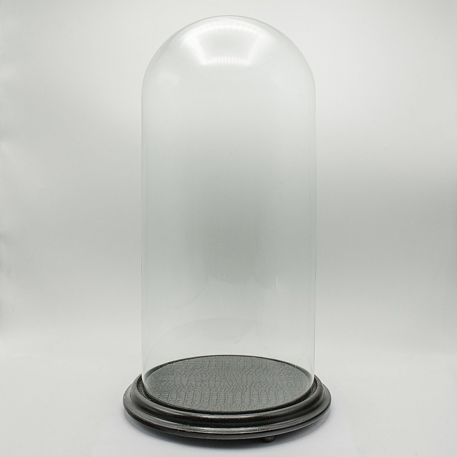 Tall Antique Taxidermy Specimen Dome, English, Glass Display Showcase, Victorian For Sale 3