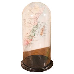 Cupola alta per esemplari di tassidermia, inglese, vetrina in vetro, vittoriana