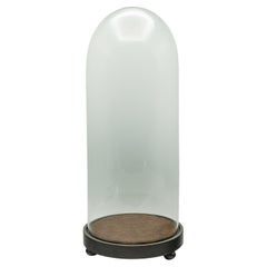 Tall Antique Victorian Taxidermy Dome, English, Glass Collector's Showcase, 1900