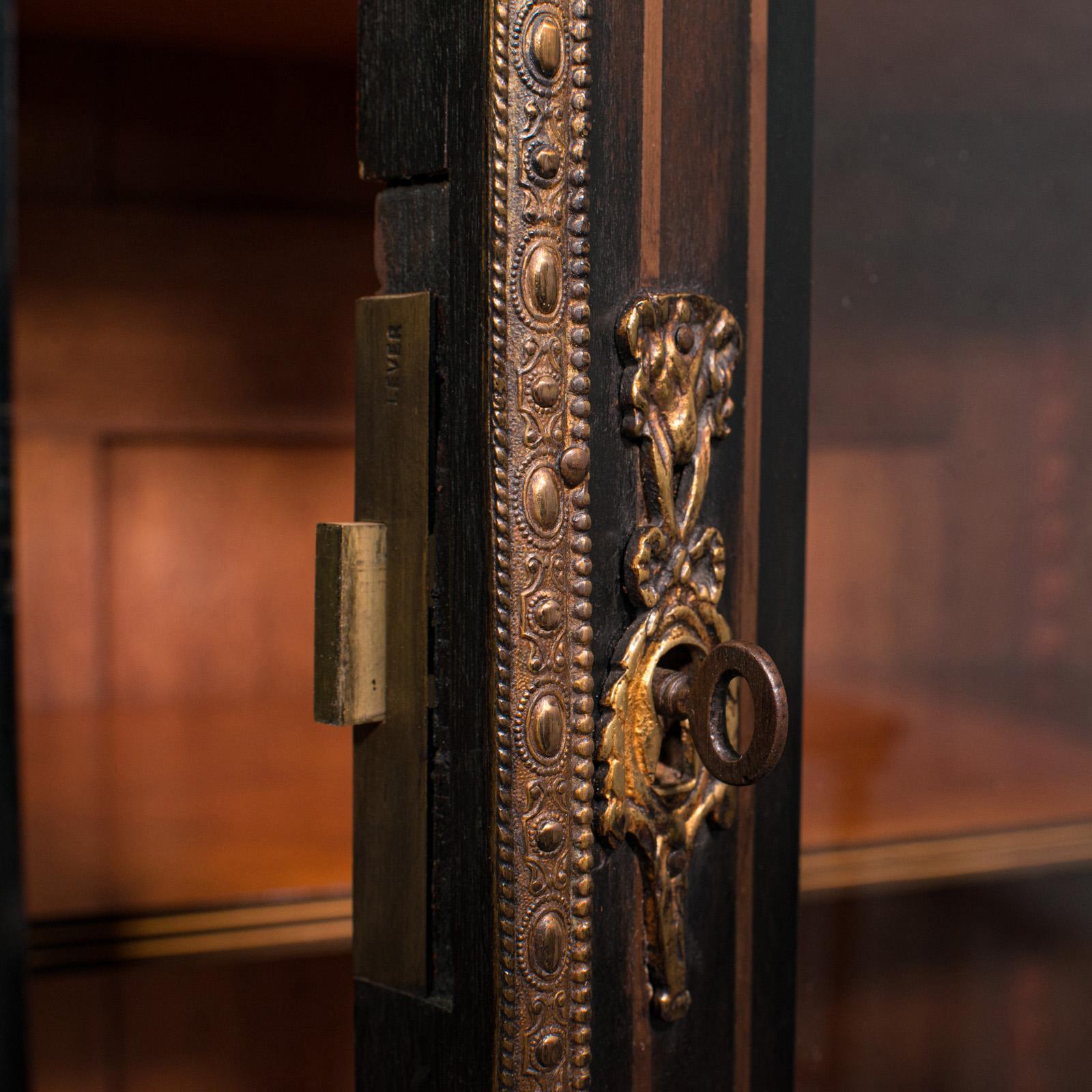 Tall Antique Vitrine Cabinet, English, Display Case, Bookcase, Regency, C.1830 4