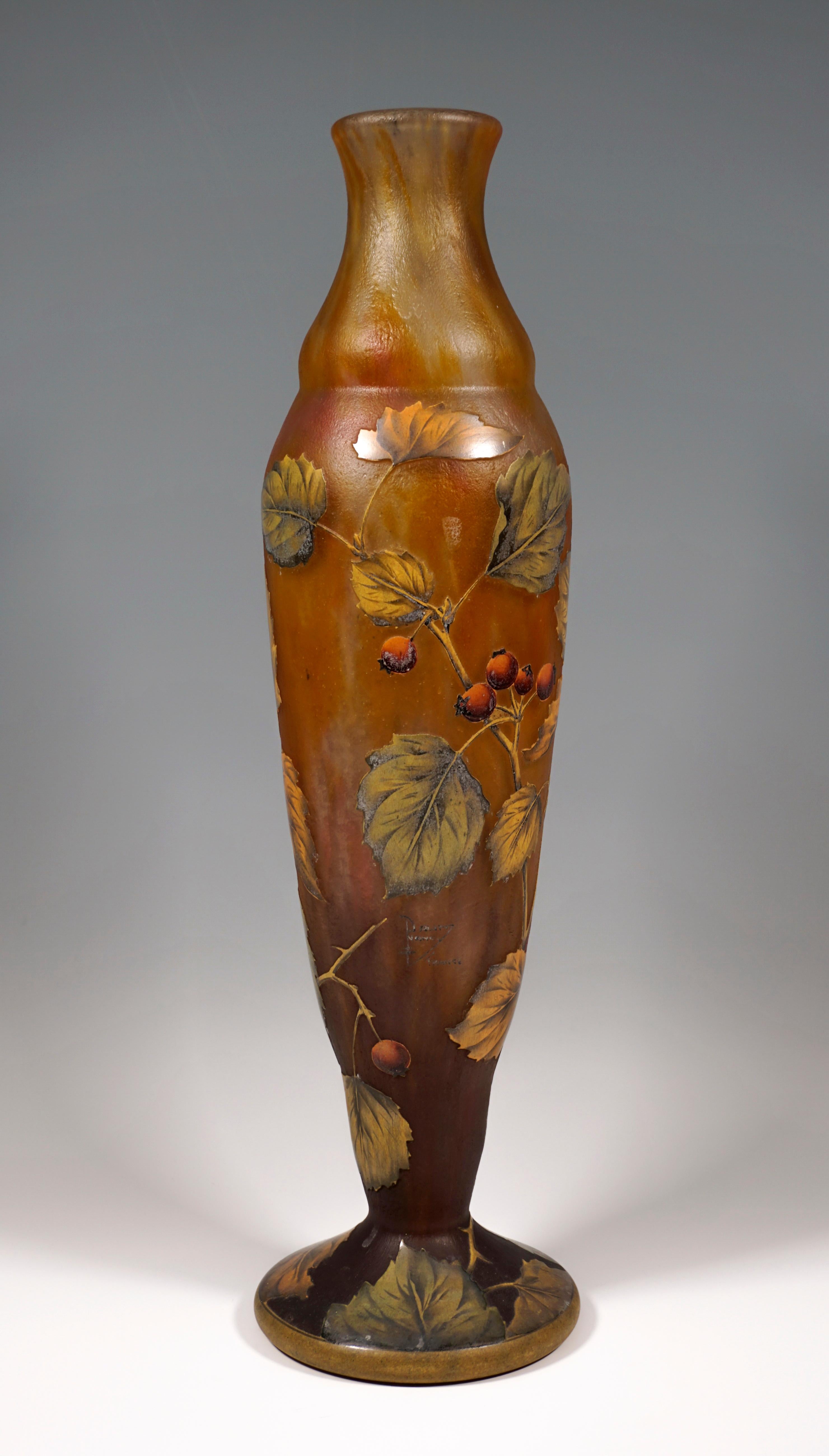 Etched Tall Art Nouveau Cameo Vase with Rose Hip Decor, Daum Nancy, France, 1910/15
