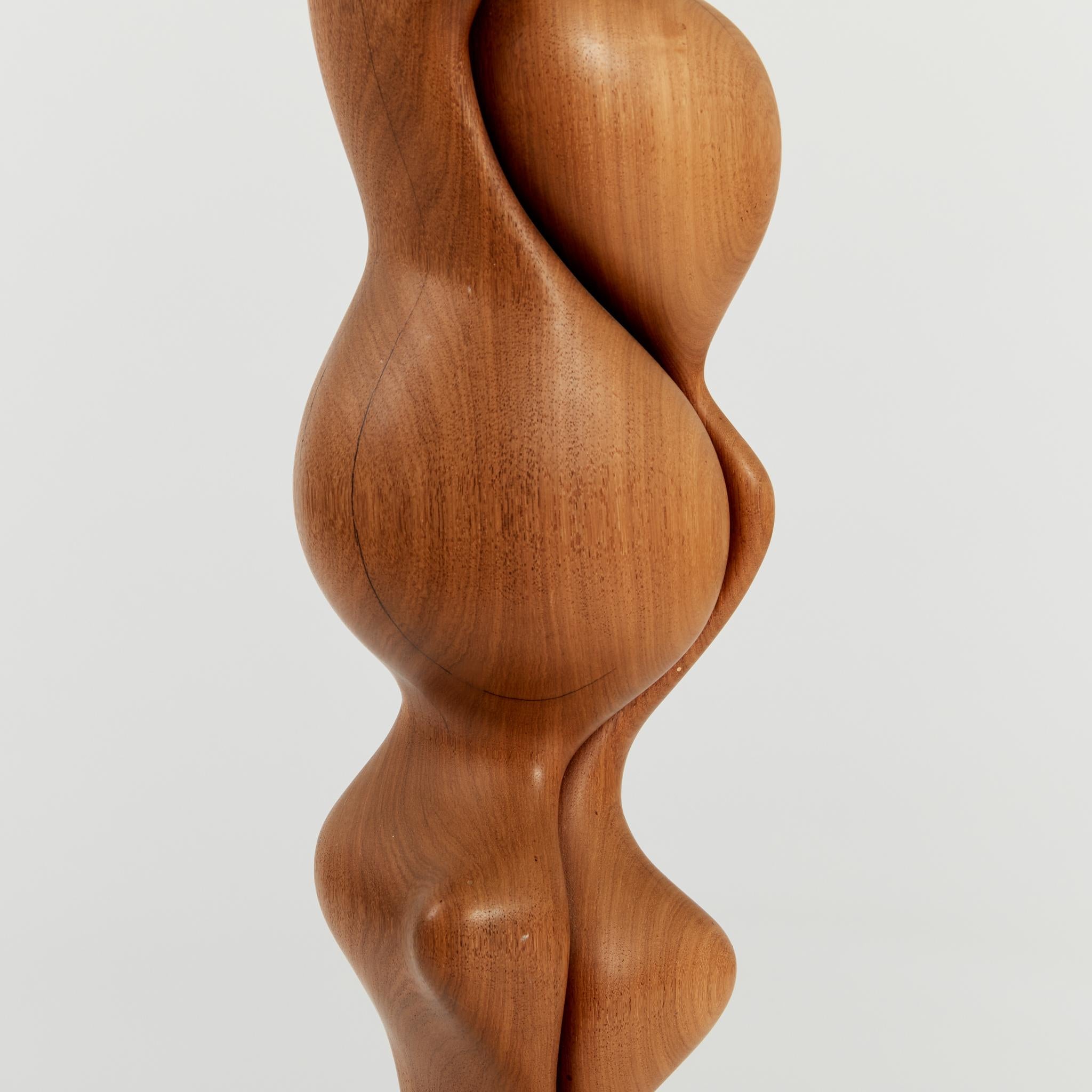 Tall Biomorphic Wood Floor Sculpture with Concrete Plinth 7