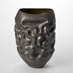 Grande forme déshydratée n° 63 de l'artiste Nicholas Arroyave-Portela