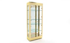 Tall Brass & Glass Lighted Display Cabinet.  Beautiful Condition.