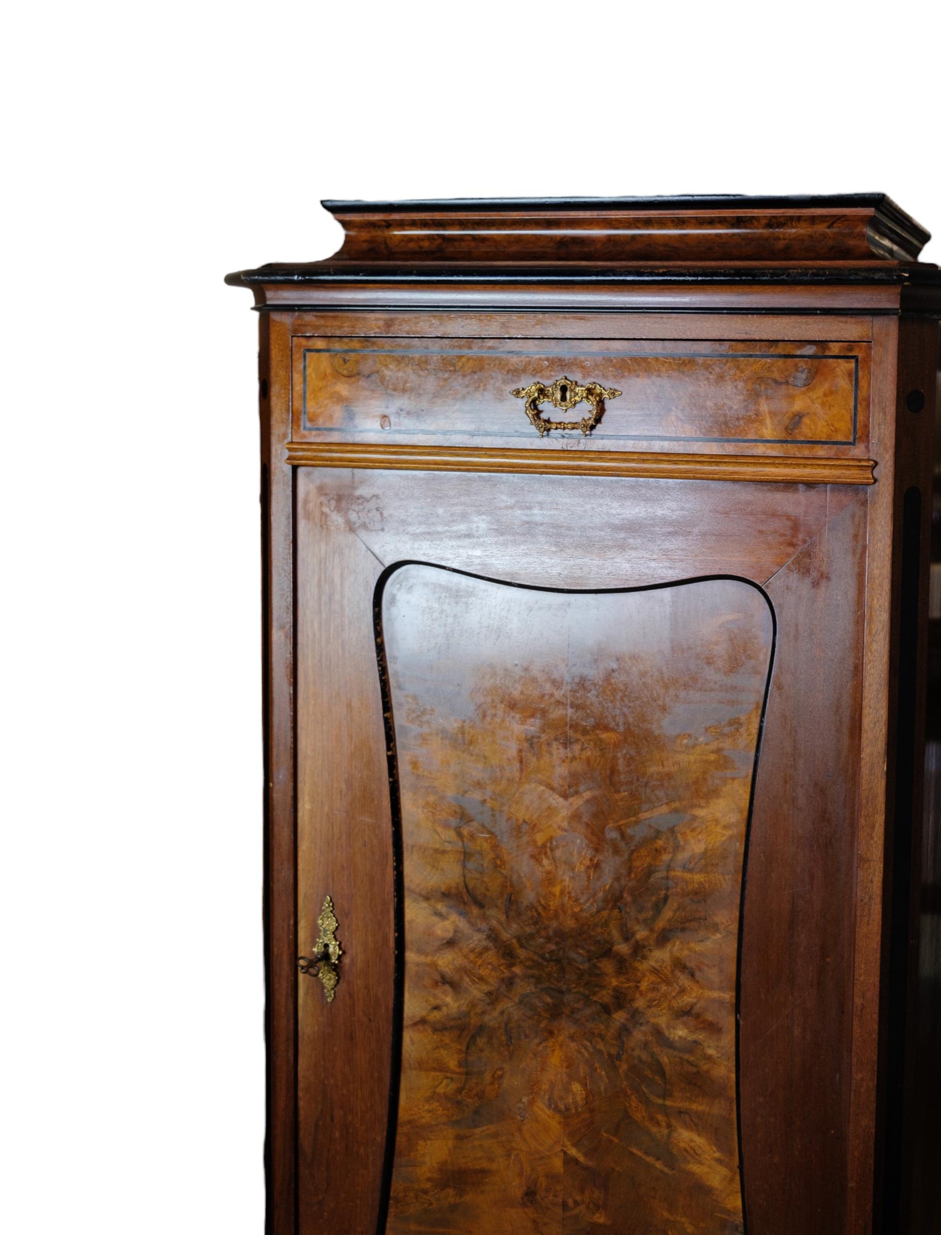 Mid-19th Century Tall Cabinet in Polished walnut from the 1850s For Sale
