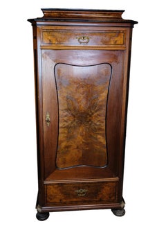 Antique Tall Cabinet in Polished walnut from the 1850s