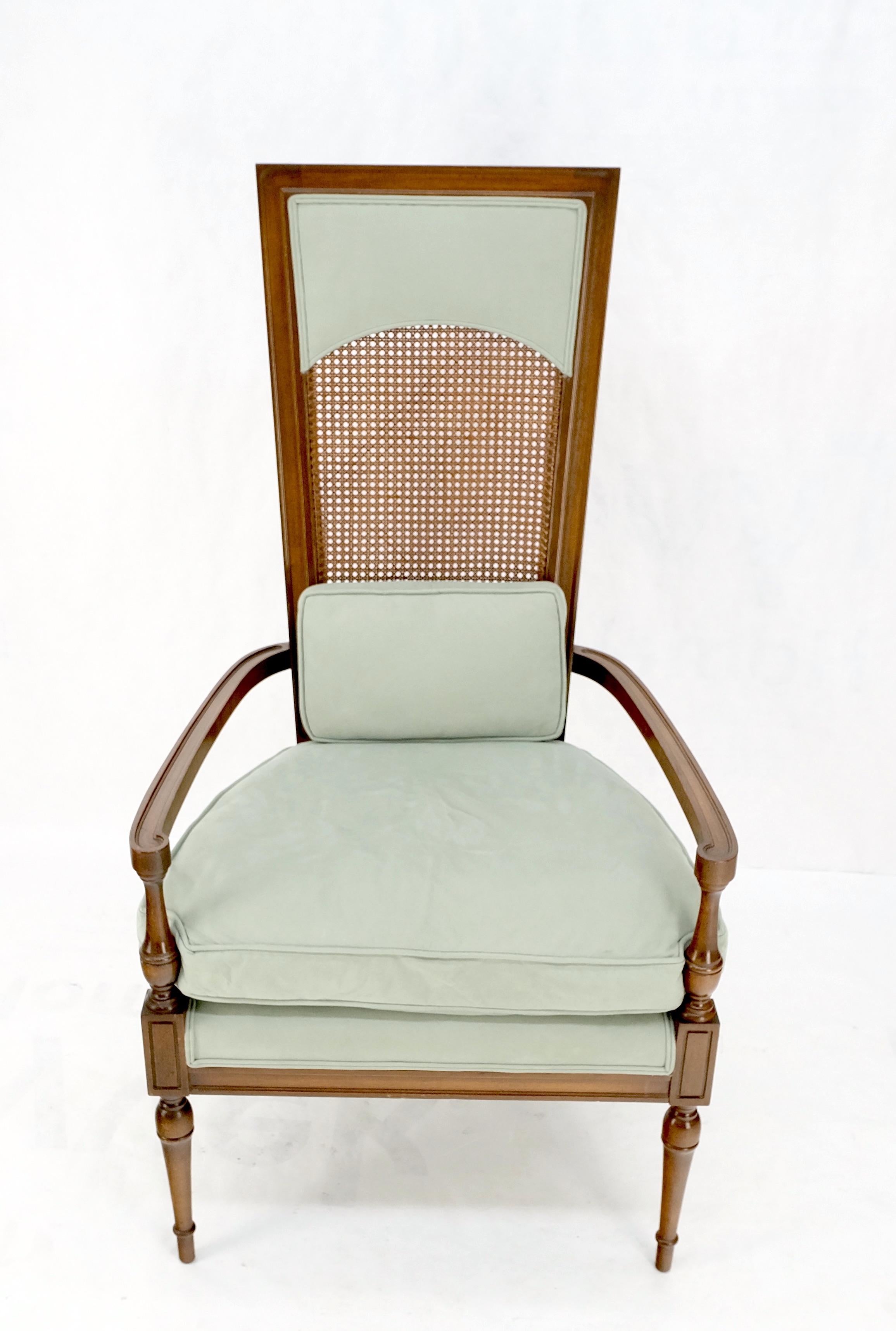 Tall Cane Back Down Filled Upholstery Seat Cushion Arm Chair Mint! For Sale 6