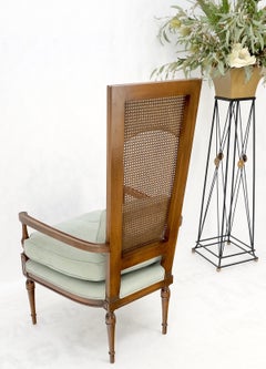 Tall Cane Back Down Filled Upholstery Seat Cushion Arm Chair Mint!