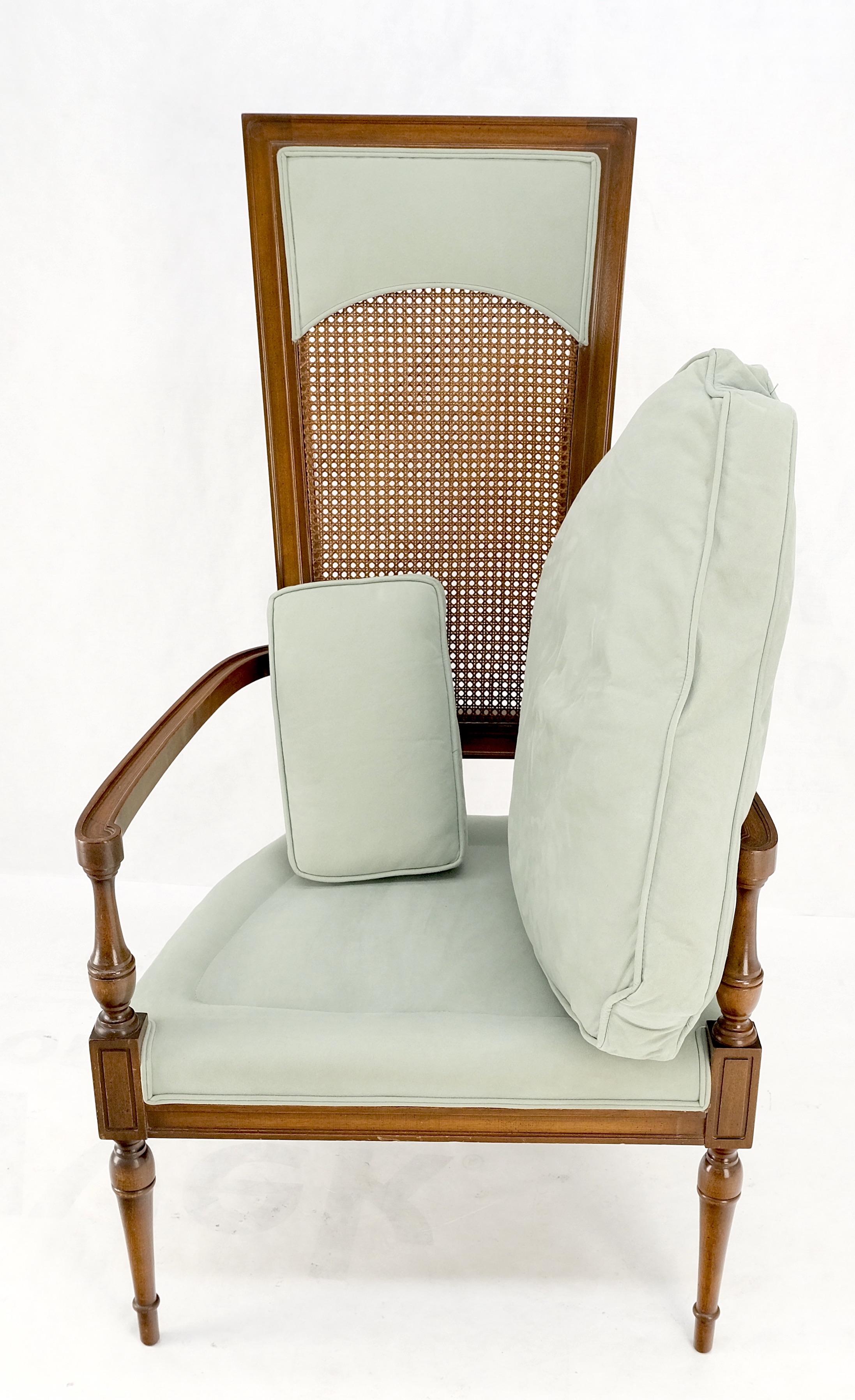 American Tall Cane Back Down Filled Upholstery Seat Cushion Arm Chair Mint! For Sale