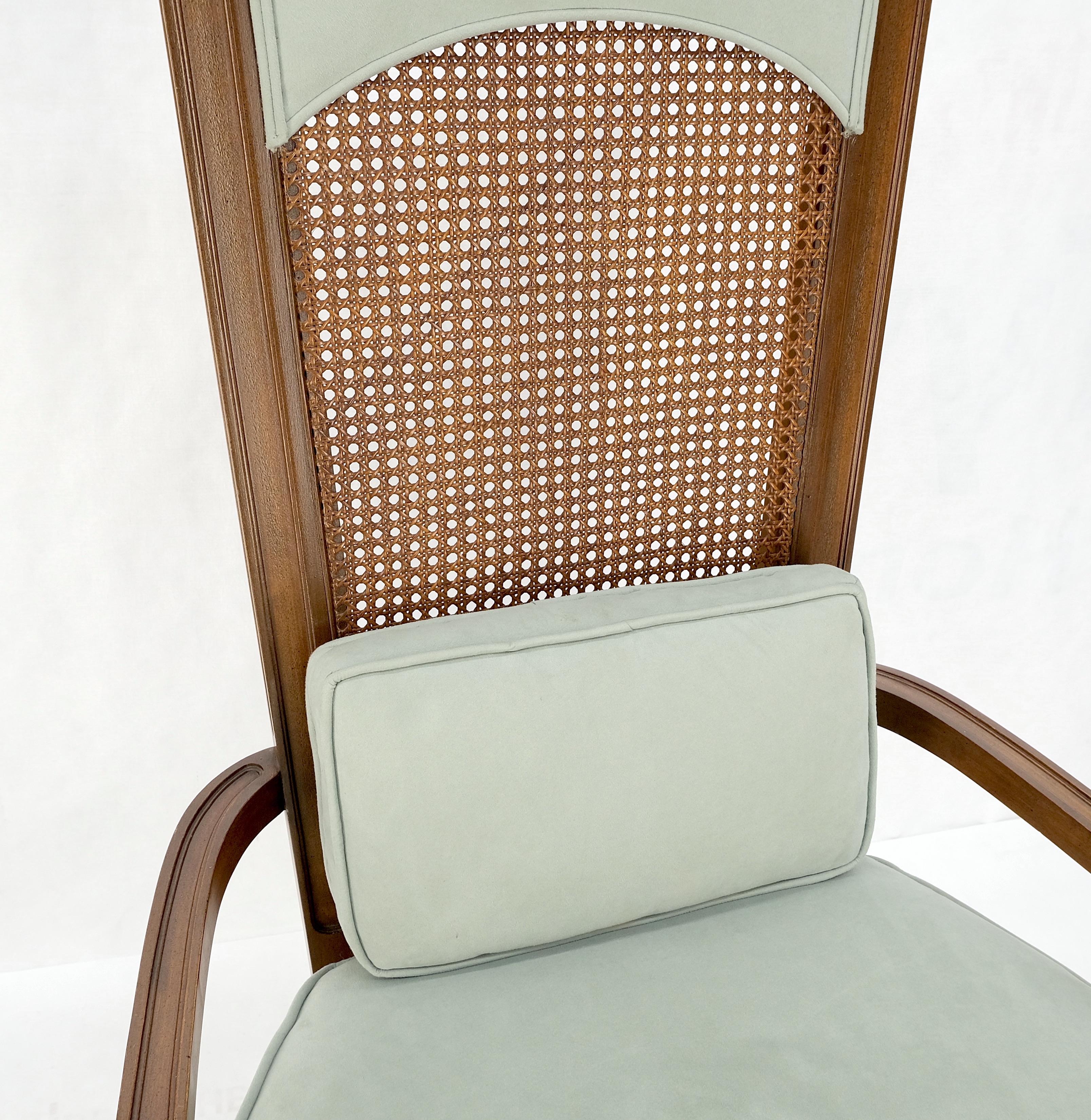 Tall Cane Back Down Filled Upholstery Seat Cushion Arm Chair Mint! In Good Condition For Sale In Rockaway, NJ