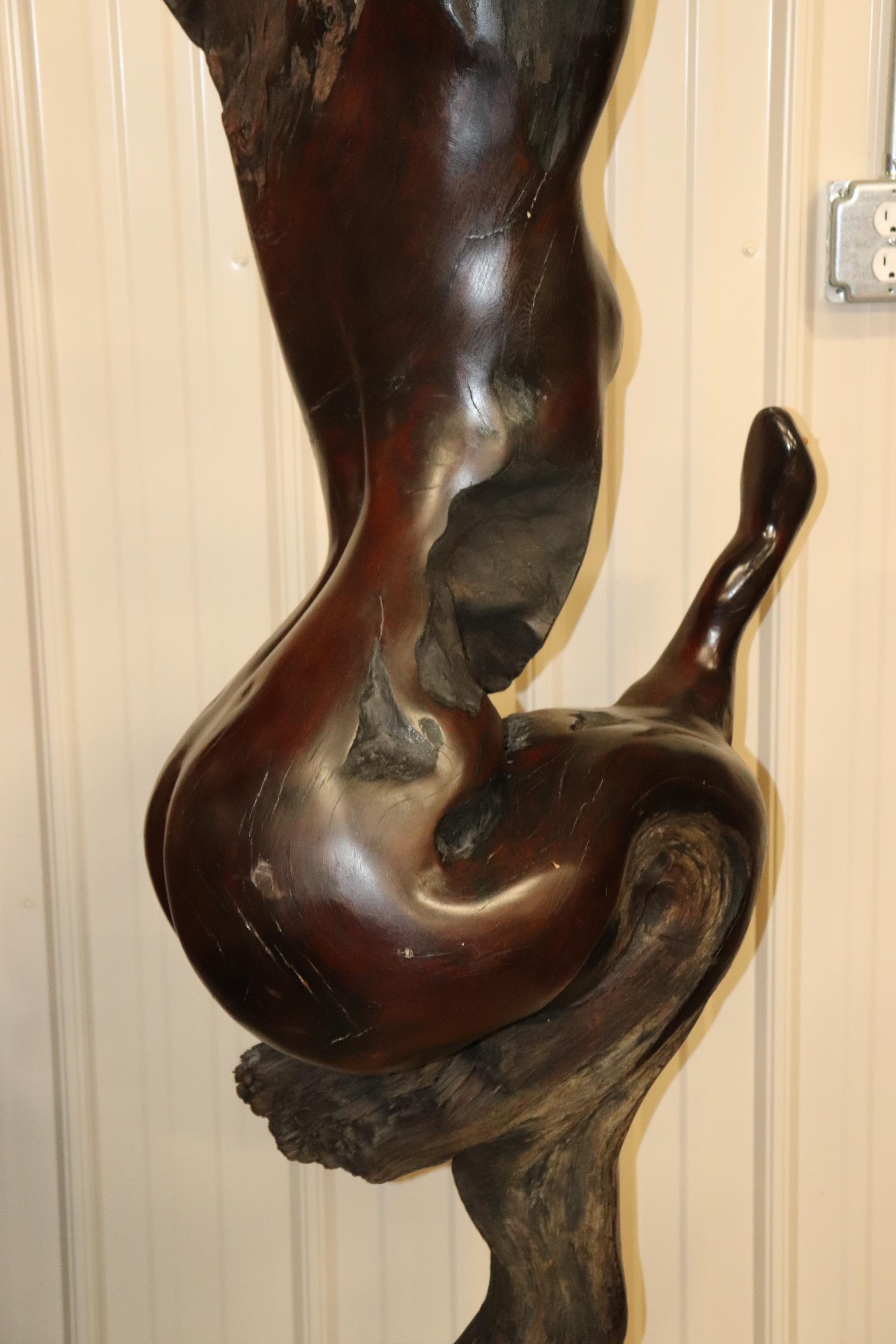 Tall Carved Rosewood Figural Sculpture of a Nude Women and a Snake 12