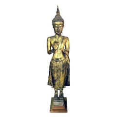 Tall Carved Wood and Gilt Standing Serene Temple Shrine Thai Asian Buddha