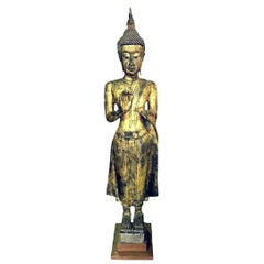Tall Carved Wood and Gilt Standing Serene Temple Shrine Thai Asian Buddha