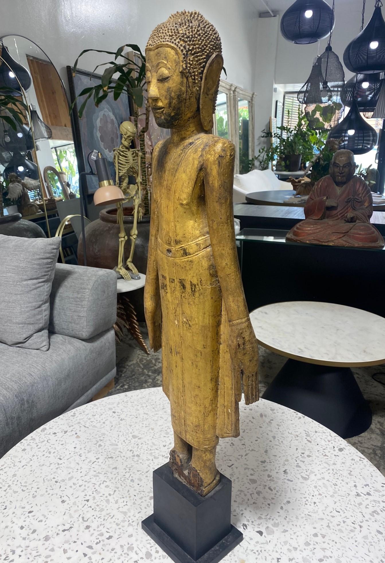 Tall Carved Wood and Gilt Standing Serene Temple Shrine Thai Siam Asian Buddha For Sale 3