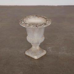 Tall Concrete Urn Planter