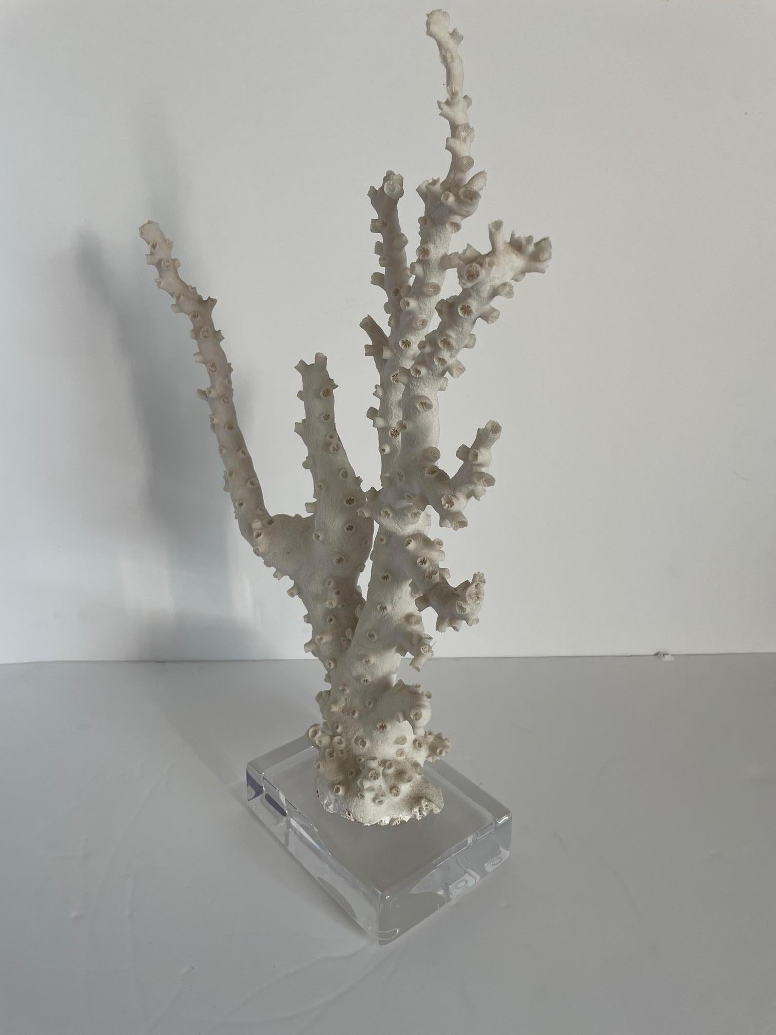 Américain Grande sculpture de monture corail en vente