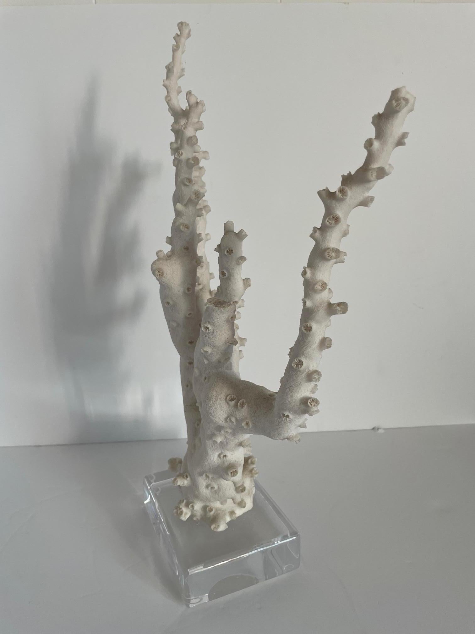 Grande sculpture de monture corail en vente 1
