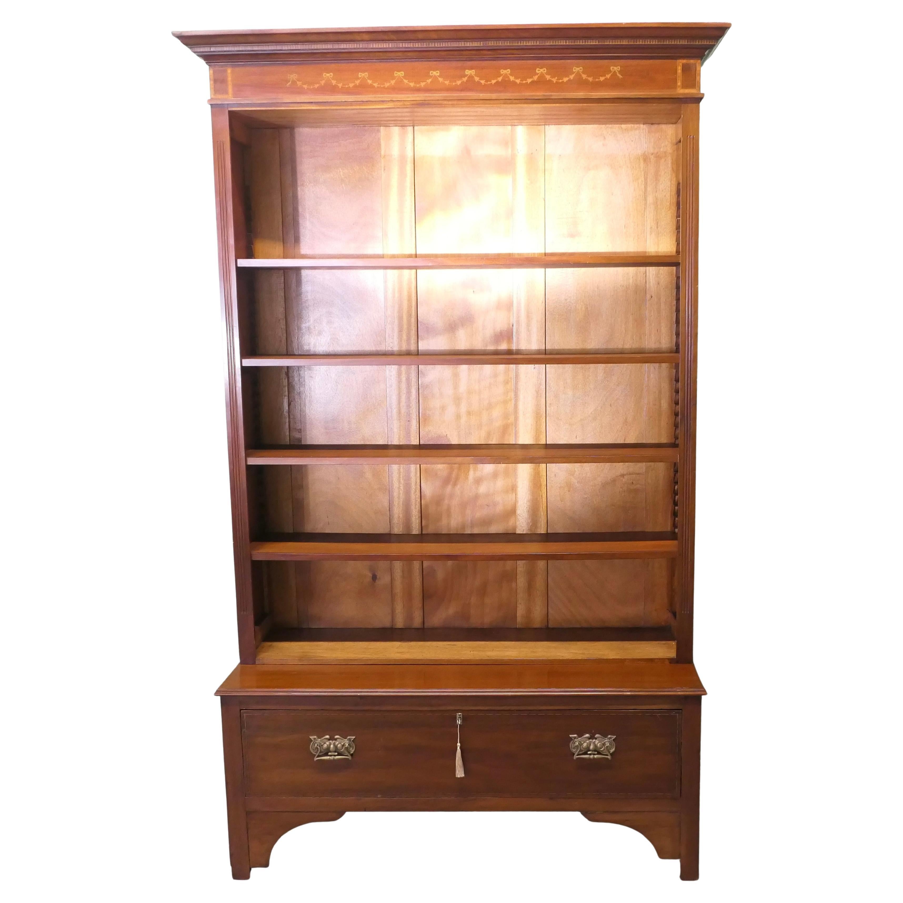 Tall Edwardian Walnut Bookcase