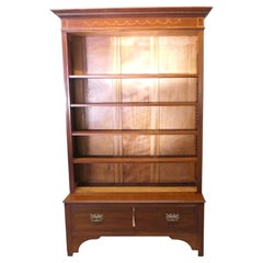 Tall Edwardian Walnut Bookcase