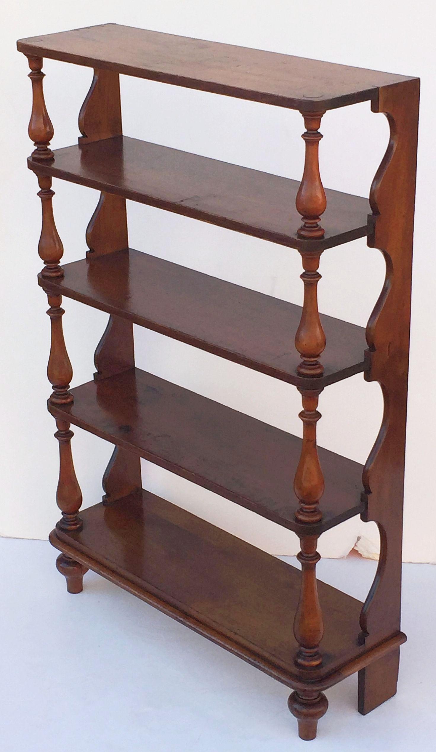 19th Century Tall English Standing Shelves or Bookcase Étagère of Fruitwood