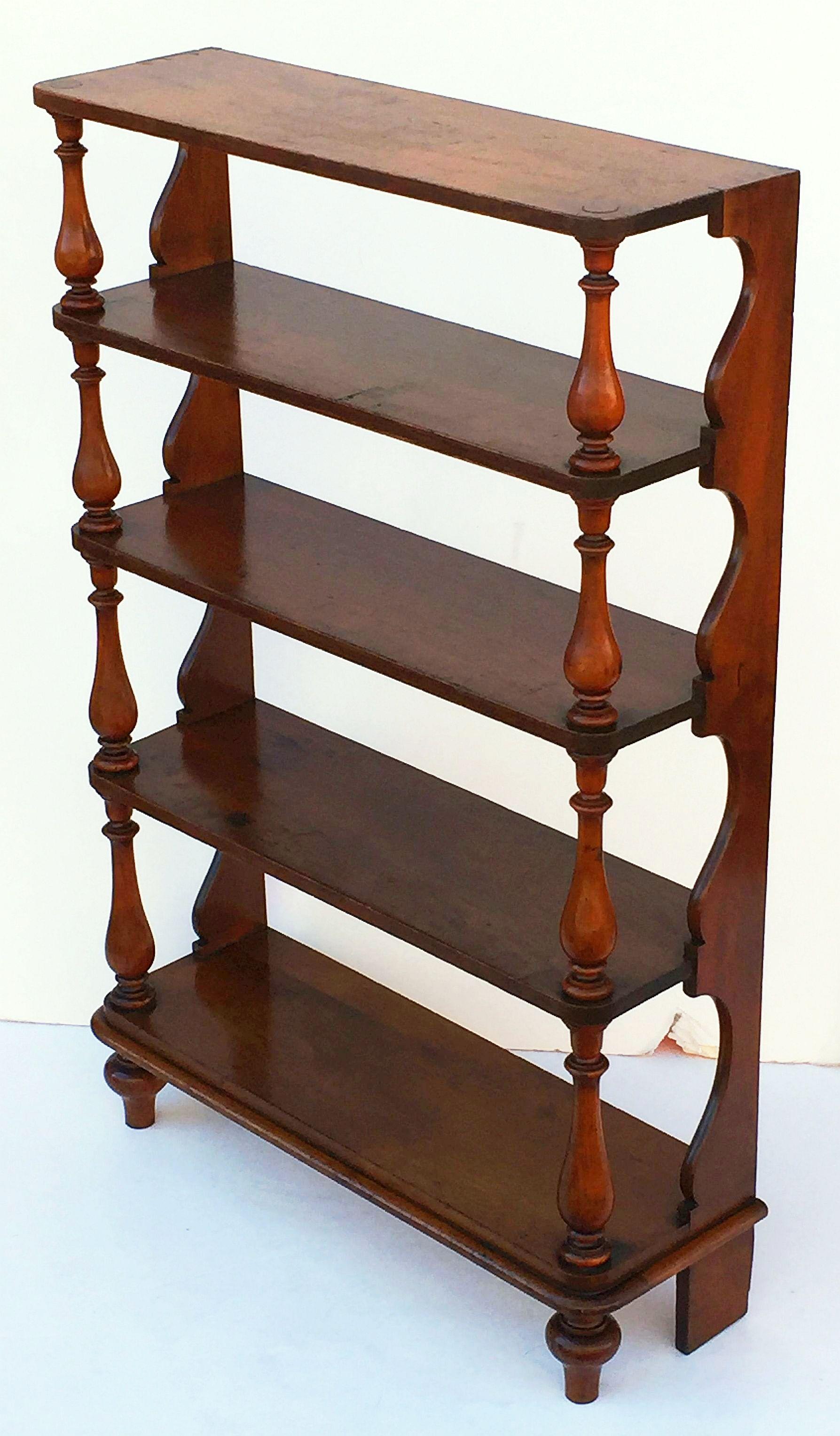 Tall English Standing Shelves or Bookcase Étagère of Fruitwood 1