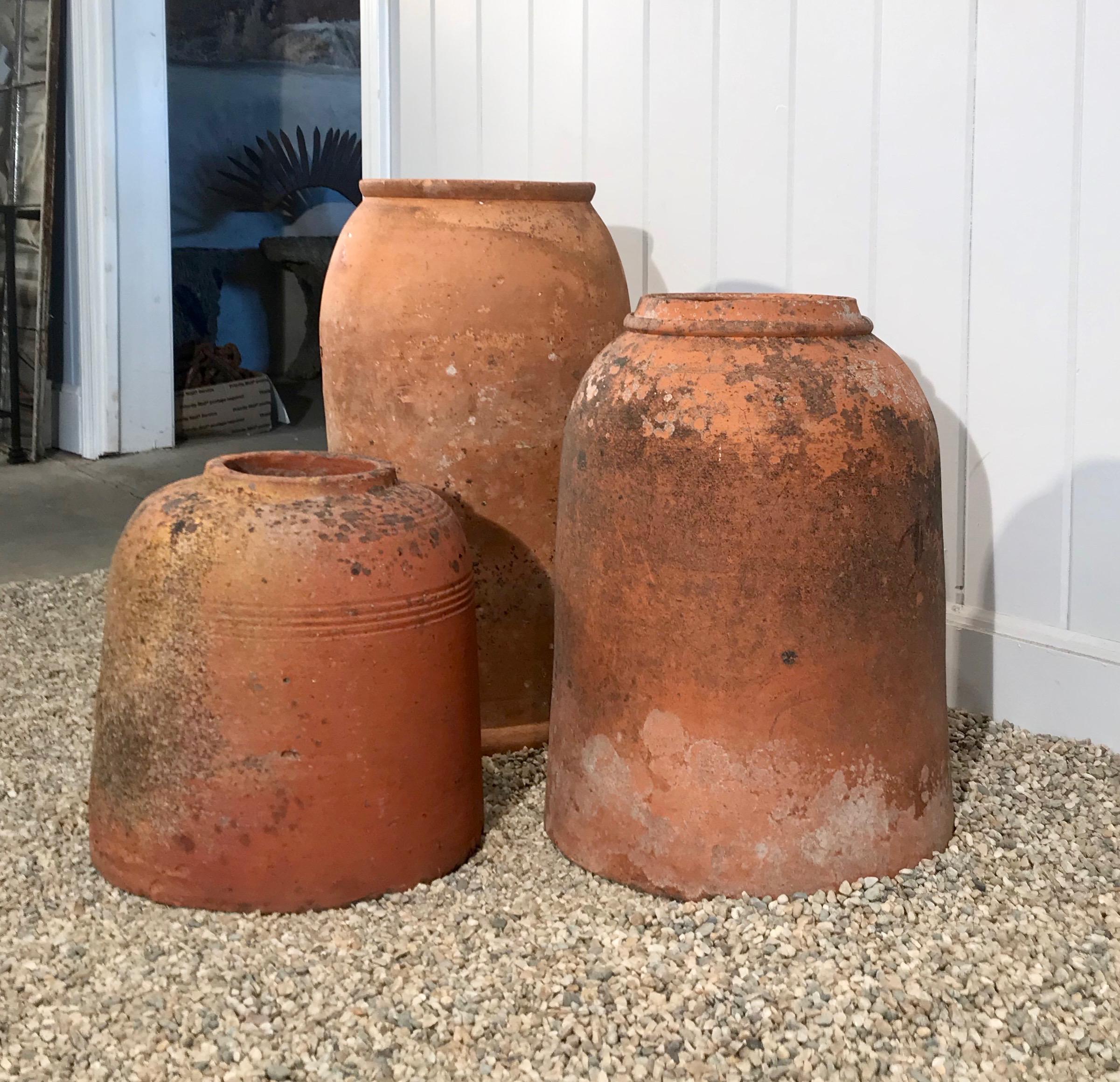 Tall English Terracotta Rhubarb Forcer Pot with Scrolled Neck and Rim 2