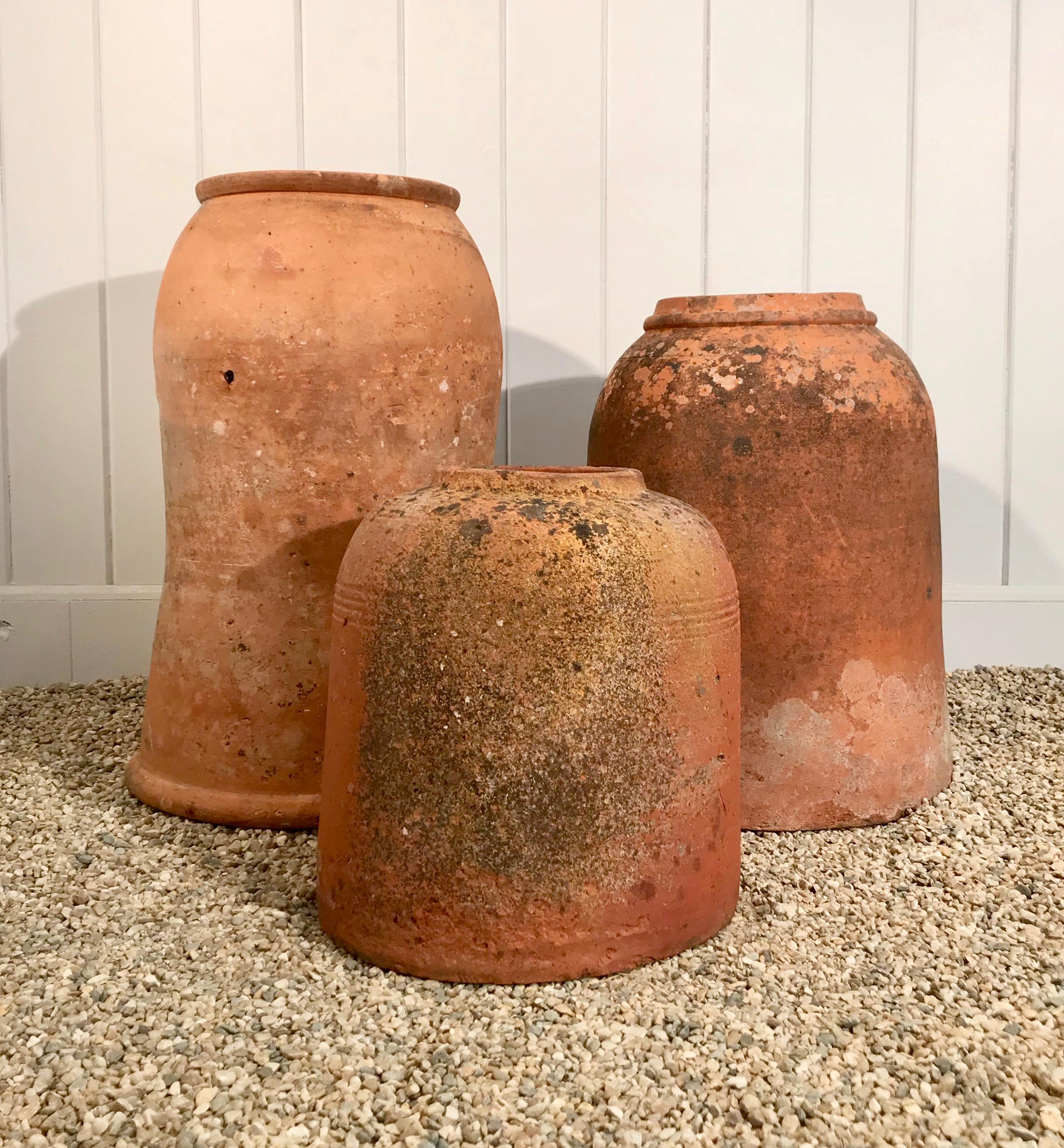 Tall English Terracotta Rhubarb Forcer Pot with Scrolled Neck and Rim In Good Condition In Woodbury, CT