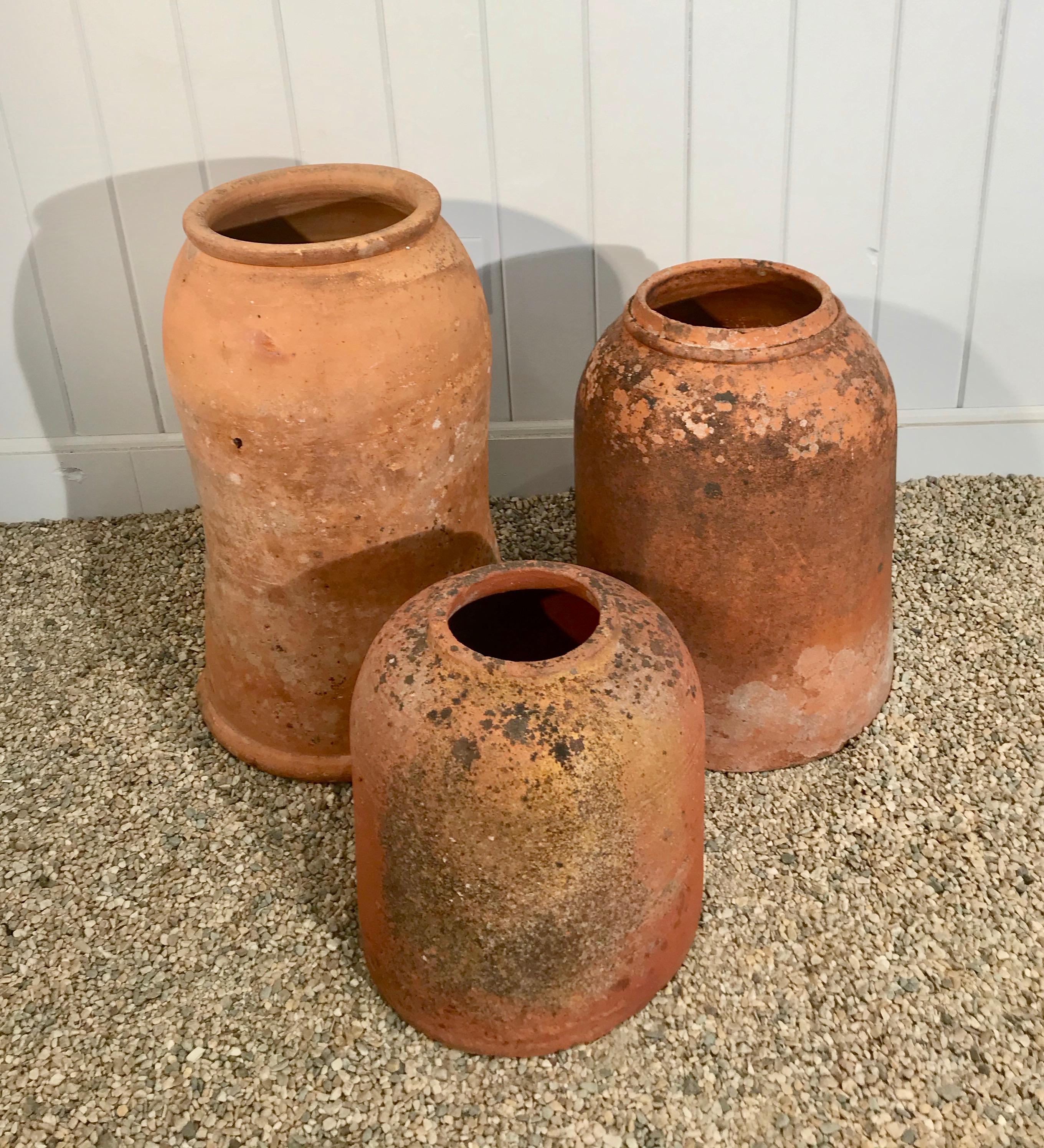 20th Century Tall English Terracotta Rhubarb Forcer Pot with Scrolled Neck and Rim