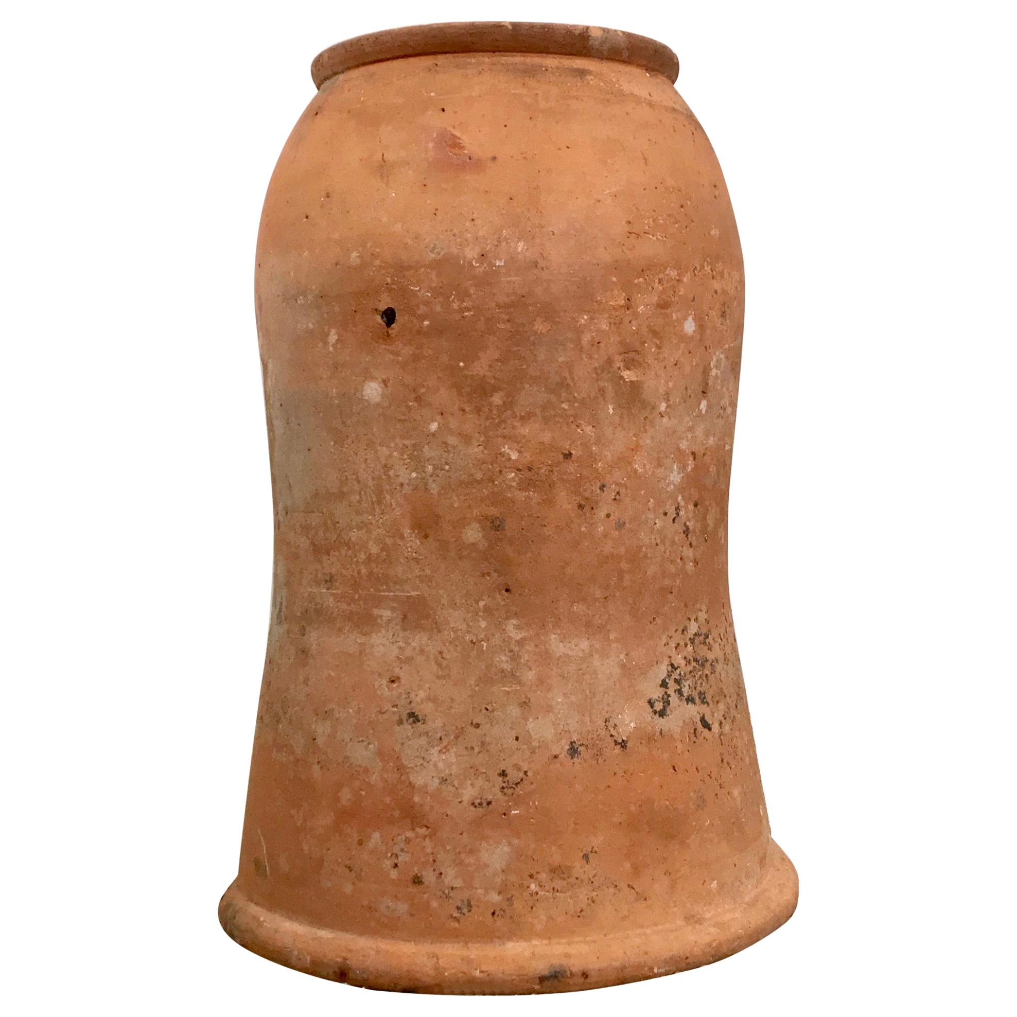 Tall English Terracotta Rhubarb Forcer Pot with Scrolled Neck and Rim