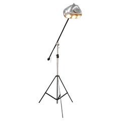 Tall Floor Standing Triple Bulb Boom Light on Tripod Base