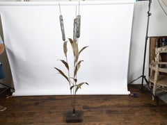 Tall French Midcentury Cattail Sculpture Mounted on a Black Base