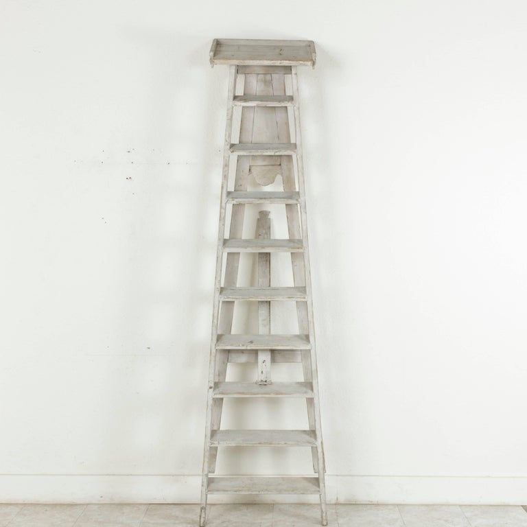 Tall French Painted Library Ladder from the Bibliothèque Nationale de ...