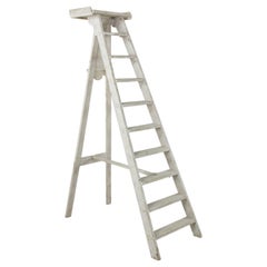 Tall French Painted Library Ladder from the Bibliothèque Nationale de Paris