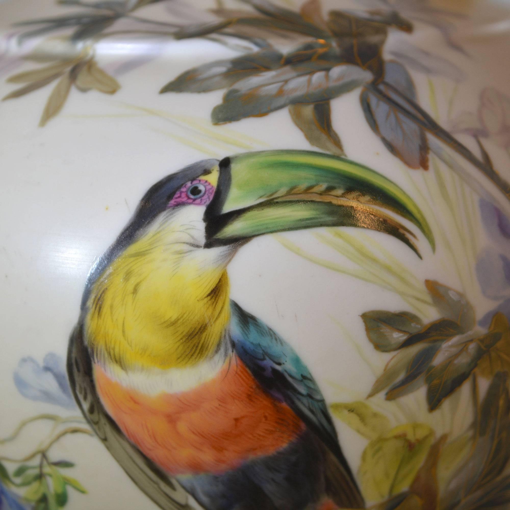 We found this amazing pitcher at a local estate sale tucked back in a corner. Once it was in the light the vibrant colors and details of the toucan and gold came to life. The artistry of the bird is spectacular. The hand painted design continues to