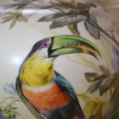 Tall Hand-Painted Toucan Pitcher with Gold Spout