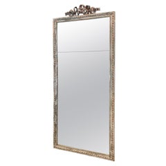 Tall Handsome Louis XVI Mirror