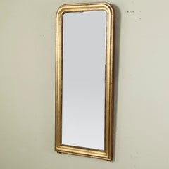 Tall Narrow 19th Century French Louis Philippe Period Giltwood Mirror