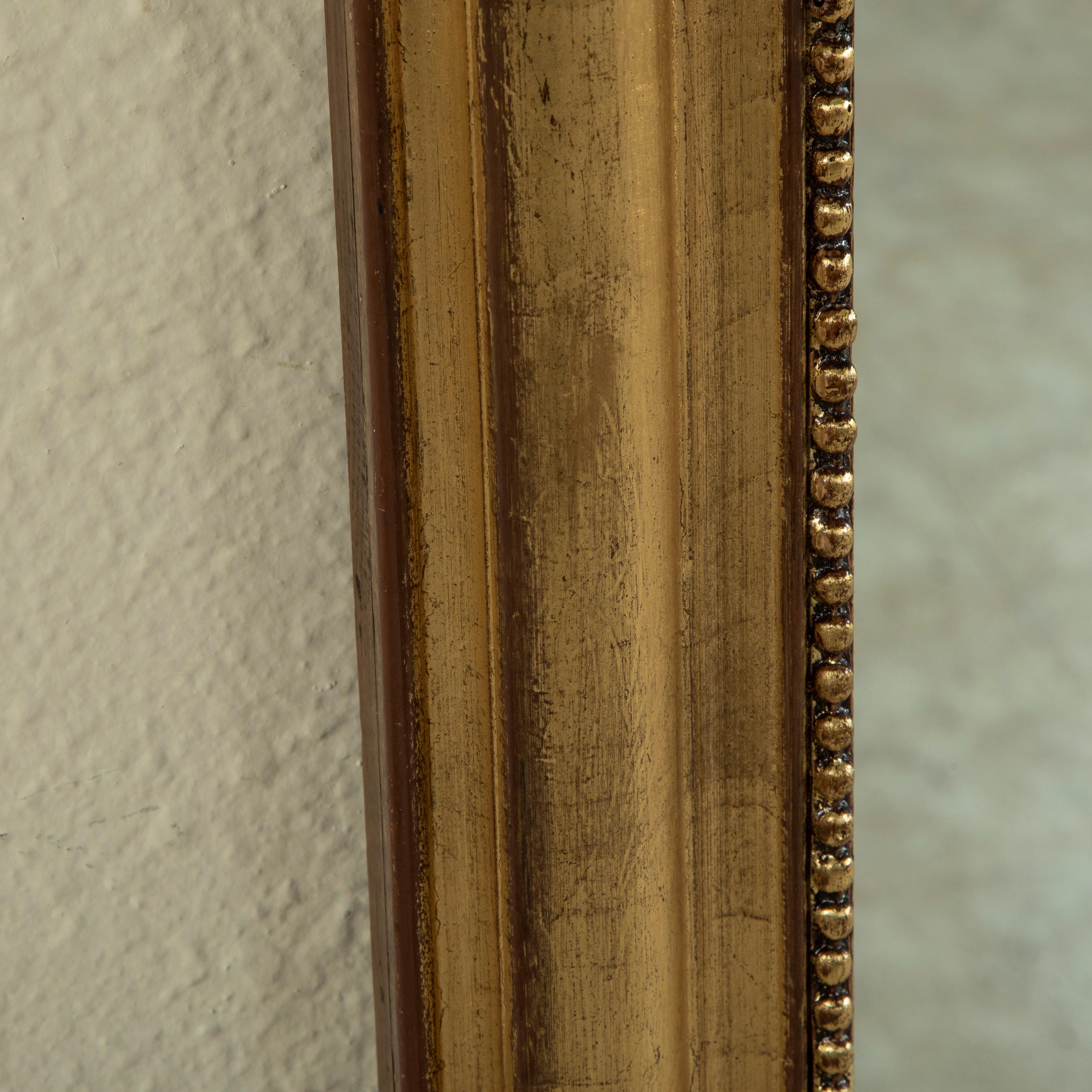 Tall Narrow 19th Century French Louis Philippe Period Giltwood Mirror 5