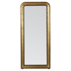 Tall Narrow 19th Century French Louis Philippe Period Giltwood Mirror