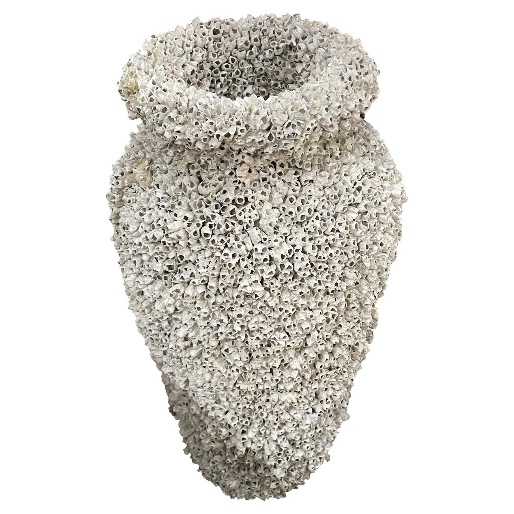 1950s Italian composition stone pot covered in snails.
Tall Classic shape.
Can be used indoor or outdoors.
Part of a collection of other snail covered pots in different sizes and shapes.
ARRIVING APRIL.