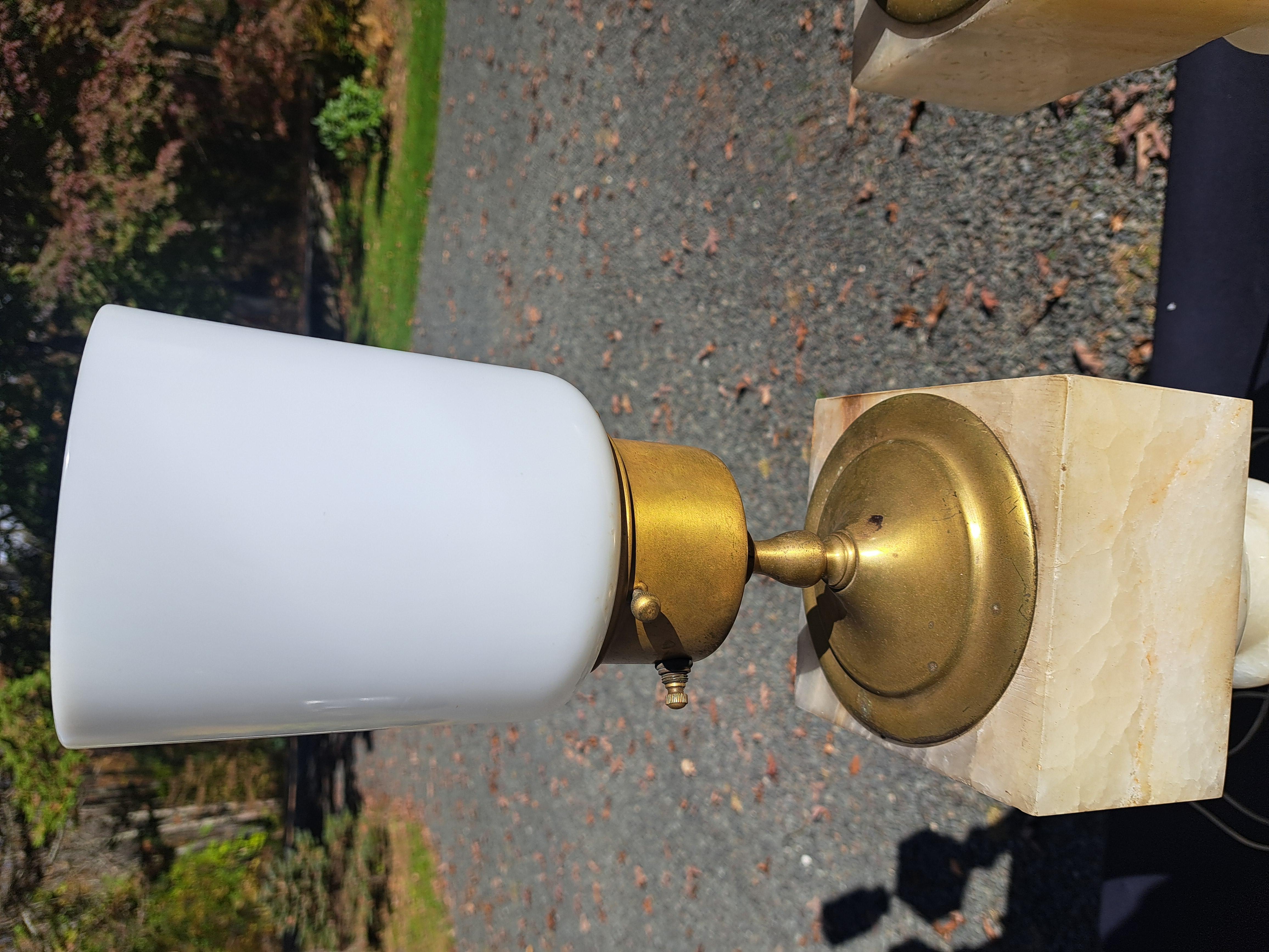 Coppia di lampade alte in onice/labastro in vendita 13