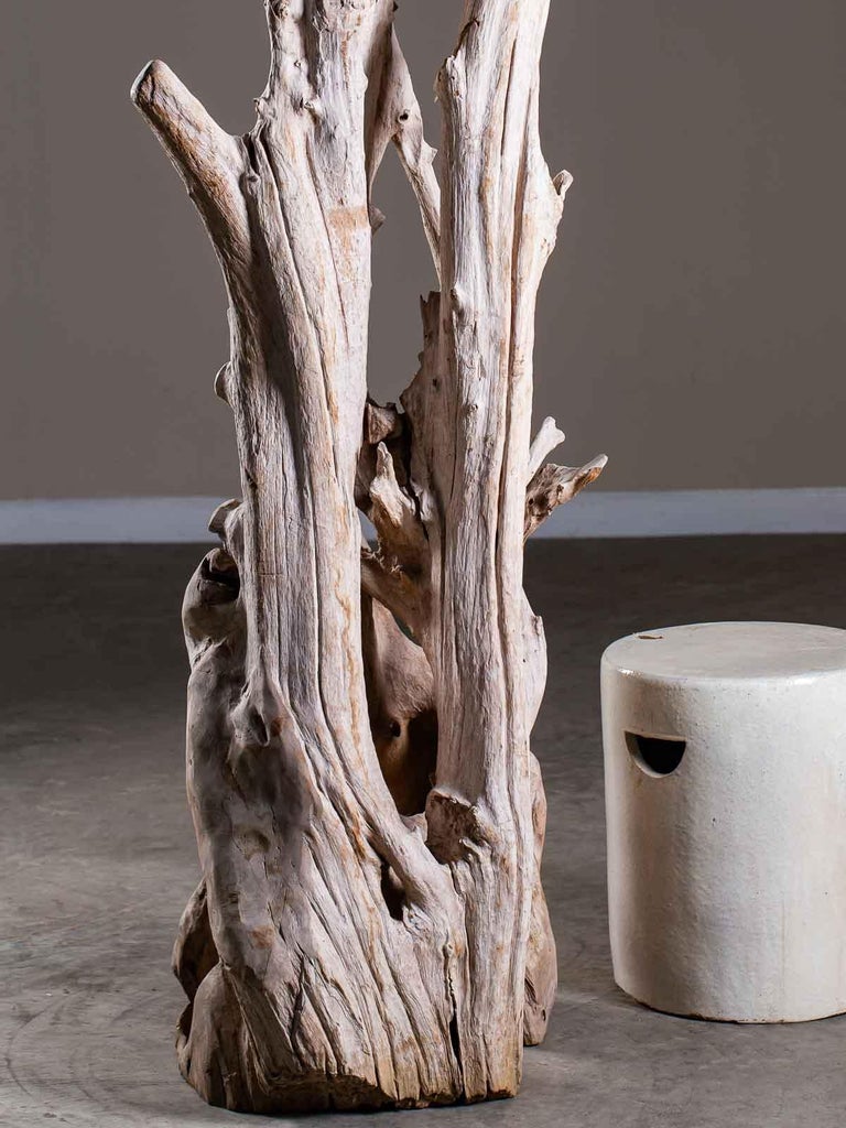 Image result for Tall Organic Modern Beach Driftwood Floor Lamp Custom Shade For Sale at ...