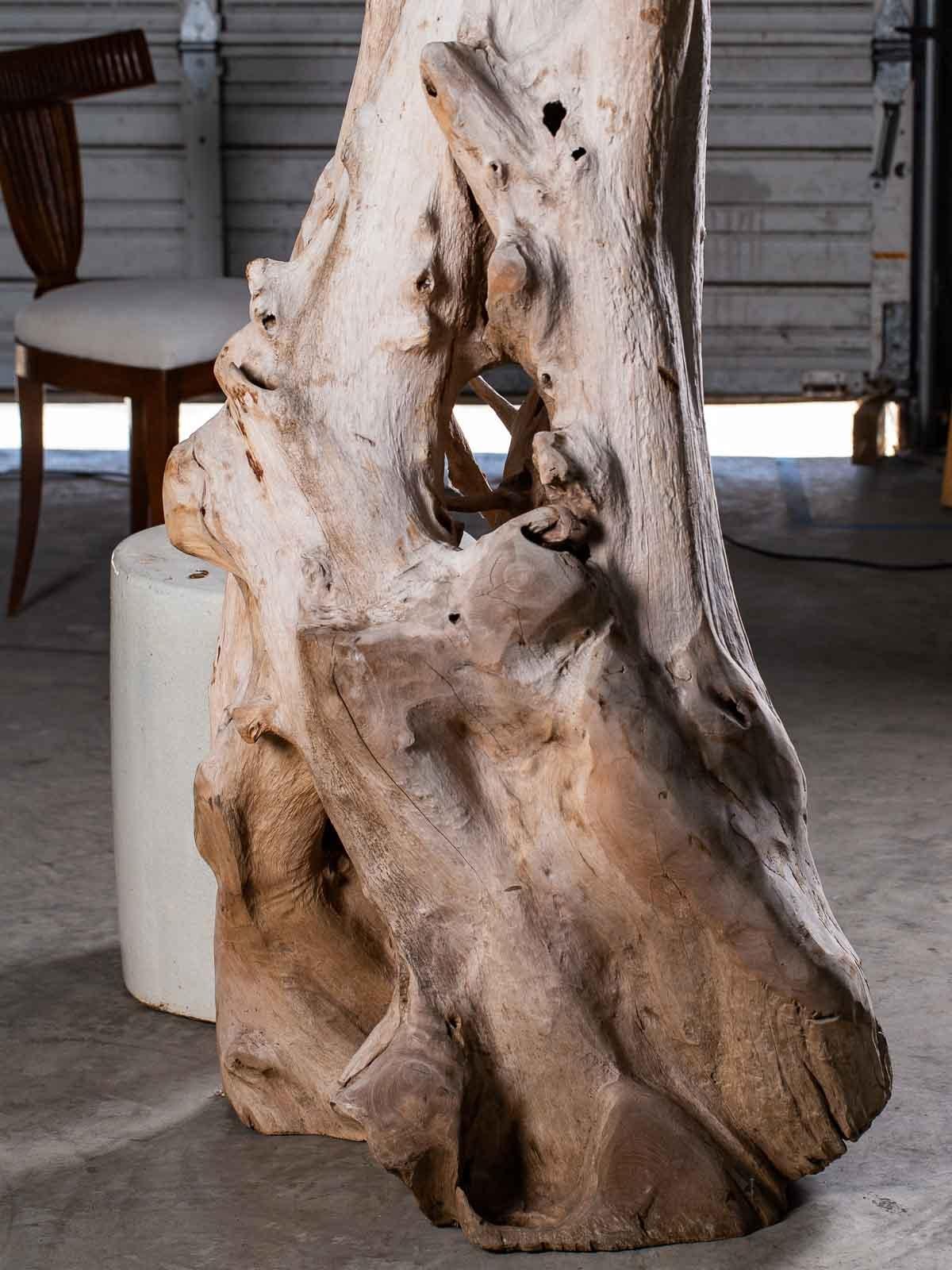 Indonesian Tall Organic Modern Beach Driftwood Floor Lamp Custom Shade For Sale