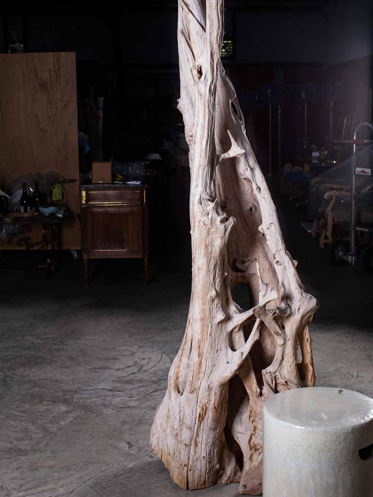 Tall Organic Modern Beach Driftwood Floor Lamp Custom Shade For Sale 1