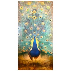 Retro Tall Original Peacock Painting Signed Door Size