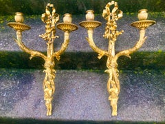 Tall Pair of Gilt Bronze Dore Louis XVI Style Wall Sconces